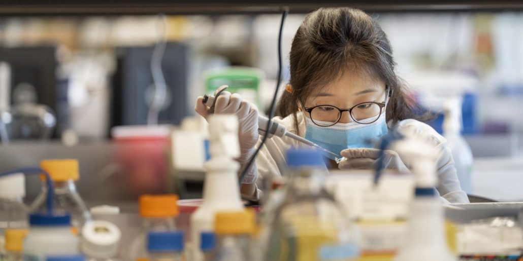 a researcher works in a medical lab