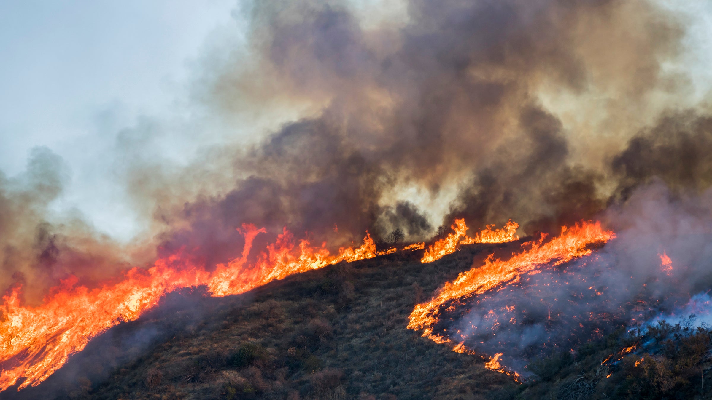 featured image for Brutal heatwave sparks wildfires across California