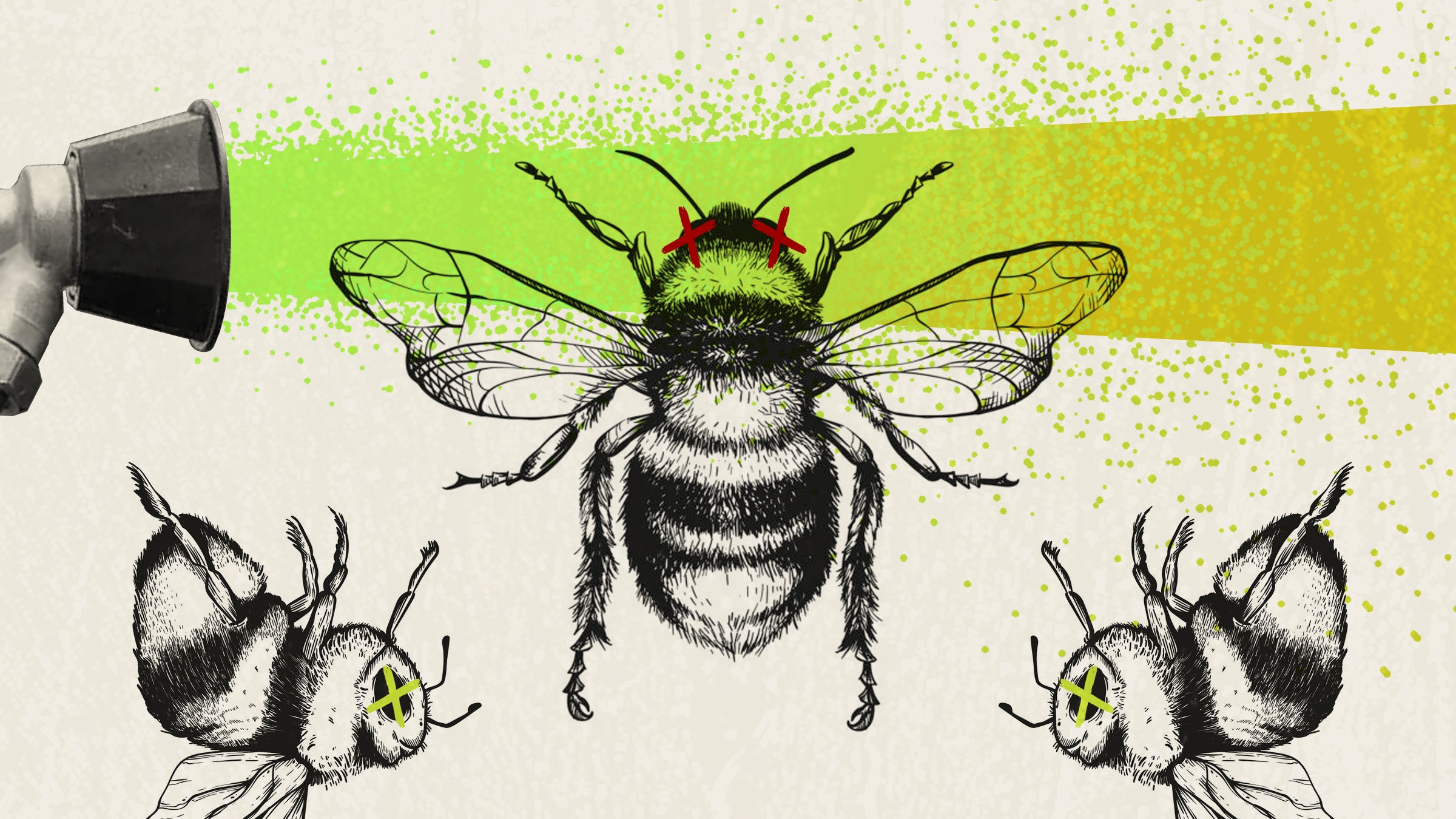 featured image for Keeping native bees buzzing requires rethinking pest control