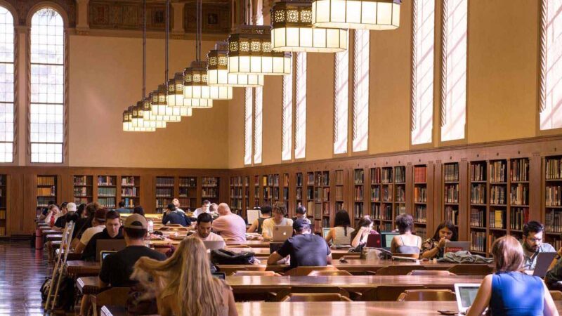 students study in the Doheny Library reading room