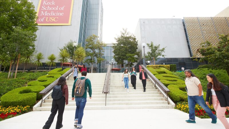 featured image for Meet the 9 scholarship recipients of USC’s stem cell master’s program