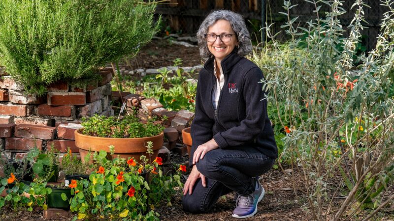 featured image for From permafrost to policy: Mahta Moghaddam is tracking changes to the Earth in its most extreme environments