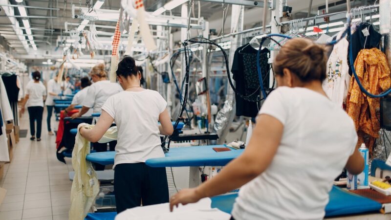 featured image for USC study links widely used chemical to liver disease